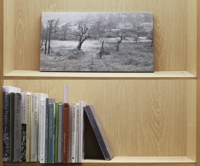 Lot 207 - PHOTOGRAPHY: Collection, including: Baltz, Lewis: 1- San Quentin Point.