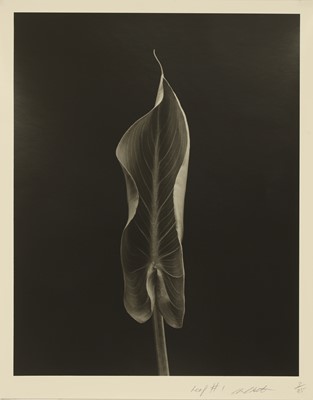 Lot 290 - Chris Cheetham (b.1951)