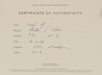 Lot 290 - Chris Cheetham (b.1951)