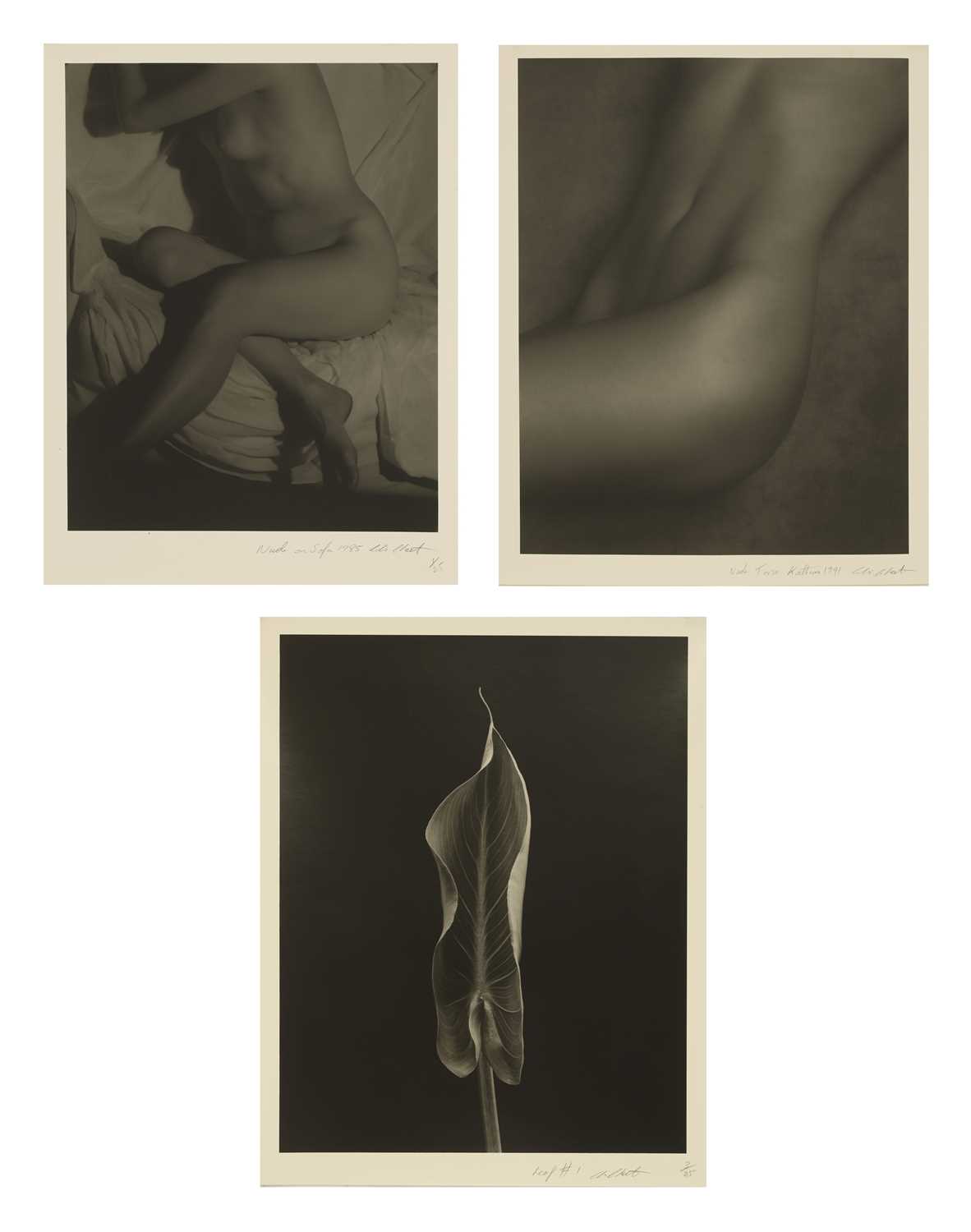 Lot 290 - Chris Cheetham (b.1951)