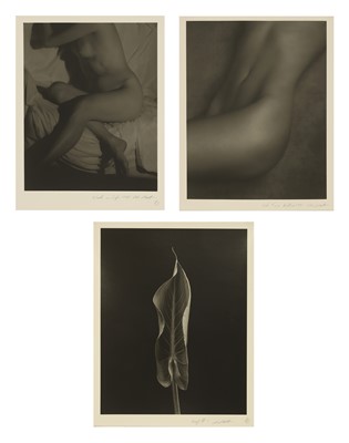 Lot 290 - Chris Cheetham (b.1951)