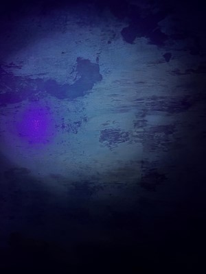 Lot 147 - William Richardson (1814-1899)