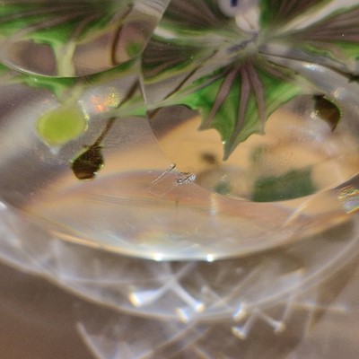 Lot 41 - A group of three glass paperweights