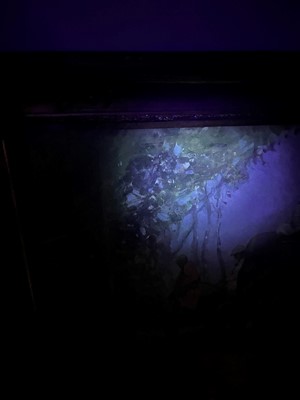 Lot 251 - Franz Alekseevic Roubaud (Russian-German, 1856-1928)