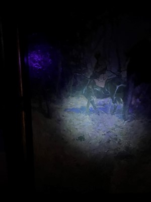 Lot 251 - Franz Alekseevic Roubaud (Russian-German, 1856-1928)