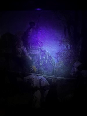 Lot 251 - Franz Alekseevic Roubaud (Russian-German, 1856-1928)