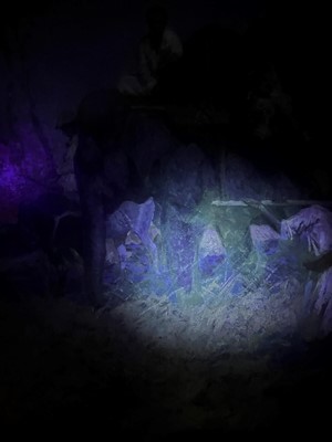 Lot 251 - Franz Alekseevic Roubaud (Russian-German, 1856-1928)