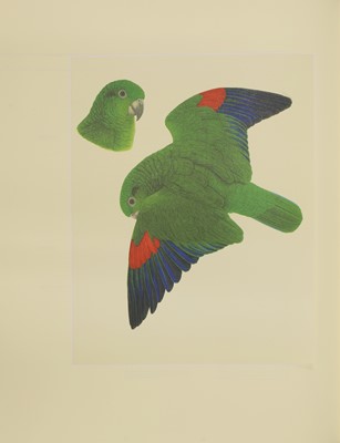 Lot 85 - BUTTERWORTH, Elizabeth (ill); LOW, Rosemary: Amazon Parrots.