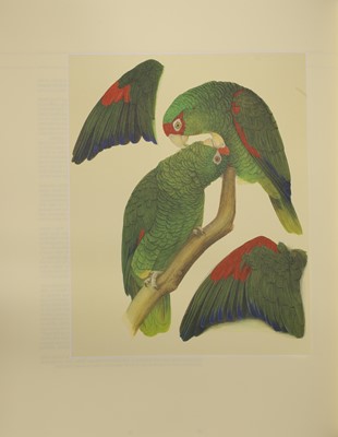 Lot 85 - BUTTERWORTH, Elizabeth (ill); LOW, Rosemary: Amazon Parrots.
