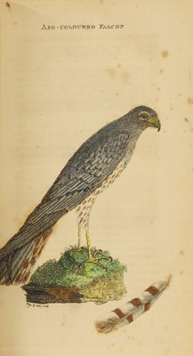 Lot 69 - (Hand coloured Plates): Montagu, George: Ornithological Dictionary