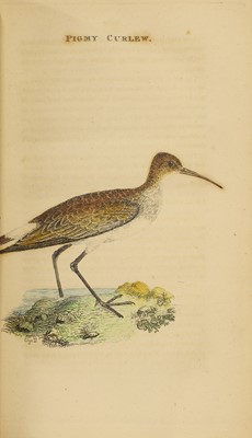 Lot 69 - (Hand coloured Plates): Montagu, George: Ornithological Dictionary