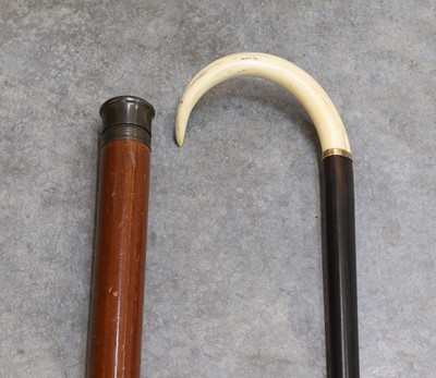 Lot 124 - Two walking sticks