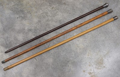Lot 101 - Three walking sticks with silver handles