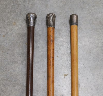 Lot 101 - Three walking sticks with silver handles