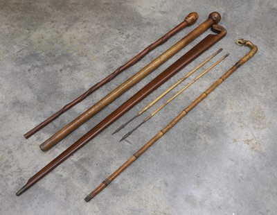 Lot 123 - Three walking sticks and a sword stick