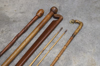 Lot 123 - Three walking sticks and a sword stick