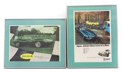 Lot 75 - Showroom advertising ' Jaguar...Britain's finest record at Le Mans' 