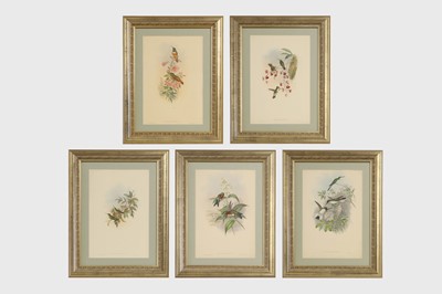 Lot 523 - After John Gould and H C Richter