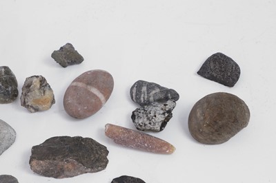 Lot 415 - A collection of various fossils and specimens