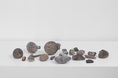 Lot 415 - A collection of various fossils and specimens