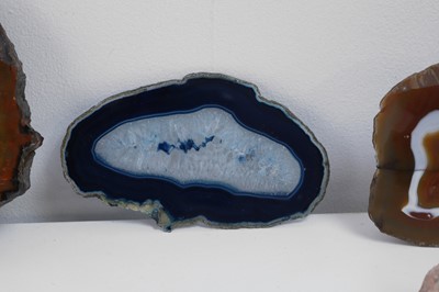 Lot 417 - A collection of various geological specimens