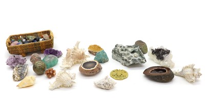 Lot 314 - A large collection of shells and minerals