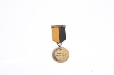 Lot 365 - An Irish War of Independence medal