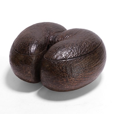 Lot 97 - A coco de mer (Lodoicea maldivica) box