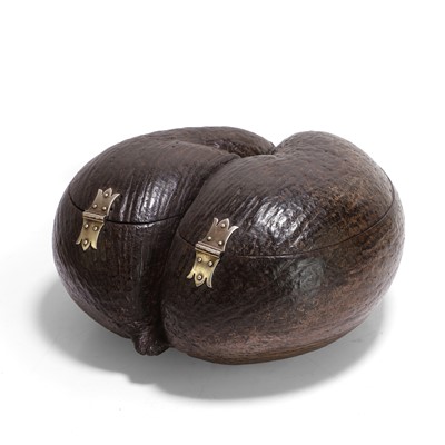Lot 97 - A coco de mer (Lodoicea maldivica) box