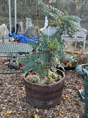 Lot 544 - Two wood bound planters