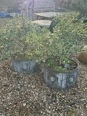 Lot 534 - A pair of cast iron planters