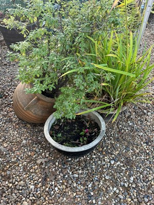 Lot 538 - A collection of garden pots