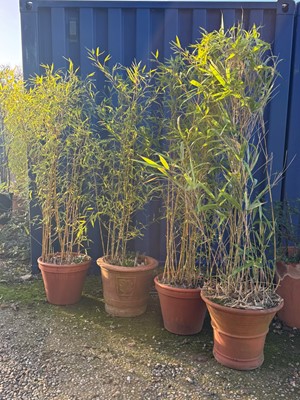 Lot 530 - Four terracotta garden pots or jardinières