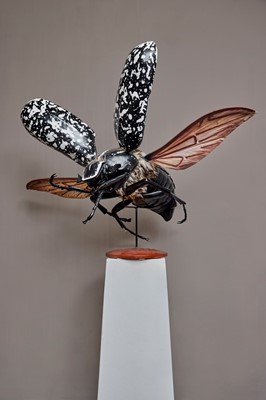 Lot A large anatomical model of a cockchafer (Melolontha vulgaris)