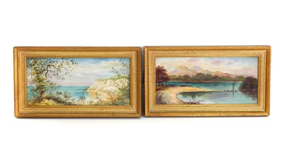 Lot 128 - A pair of Edwardian porcelain tiles