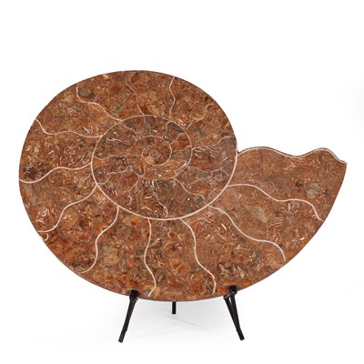 Lot 117 - A polished Lytoceras ammonite half