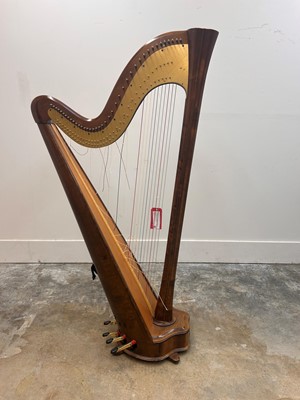 Lot 351 - A Salvi Daphne 40 seven pedal harp