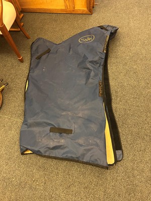 Lot 351 - A Salvi Daphne 40 seven pedal harp